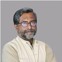 Profile image of Tapan K Chakravarty